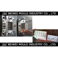 Car Battery Case Plastic Mould Manufacturer